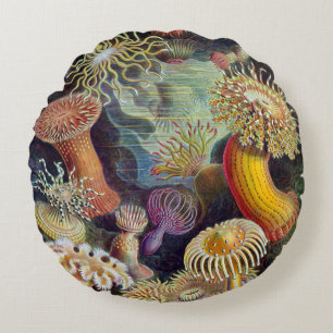 Ronds Haeckel ~ Coussins d'anémones de mer