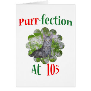 Ronronnement-fection 105
