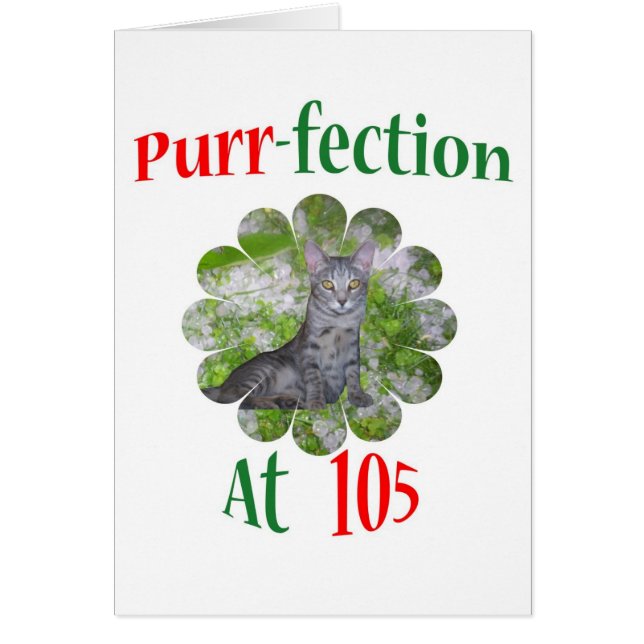 Ronronnement-fection 105 (Devant)