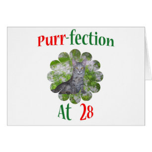 Ronronnement-fection 28