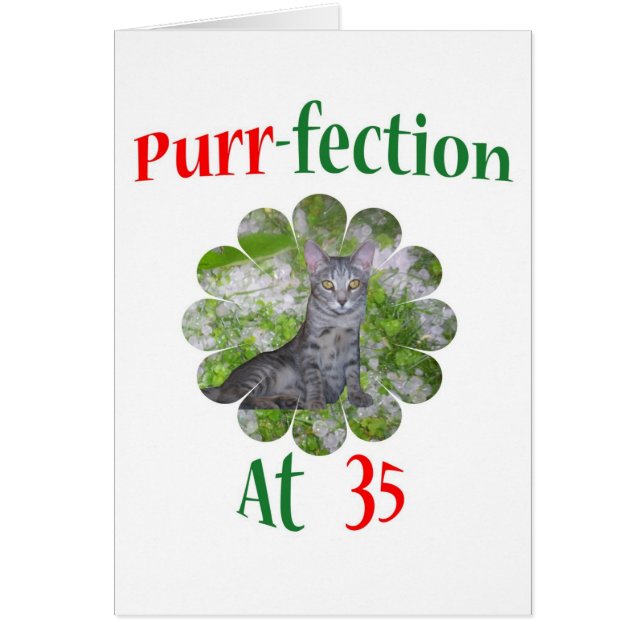 Ronronnement-fection 35 (Devant)