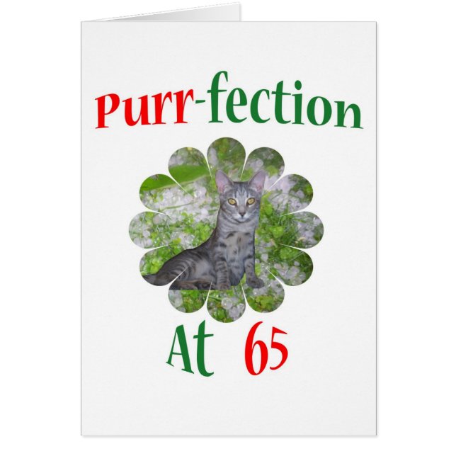 Ronronnement-fection 65 (Devant)