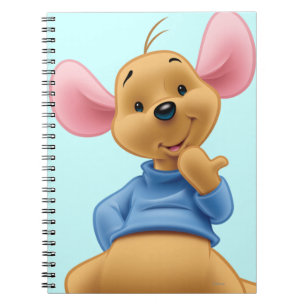 Roo 2 notebook