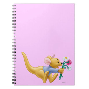 Roo 4 notebook