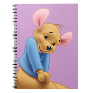 Roo 5 notebook