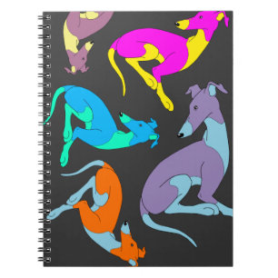 Roo Notebook