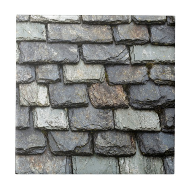 Roof cover with slate plates tile (Front)