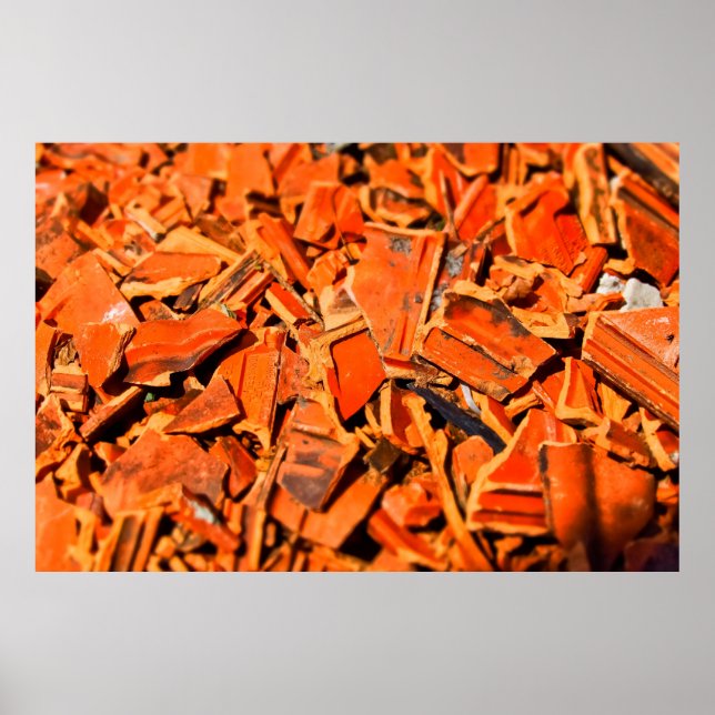 Roof tiles brick red roof panels poster (Front)