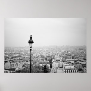 Roofs of the Paris - Poster