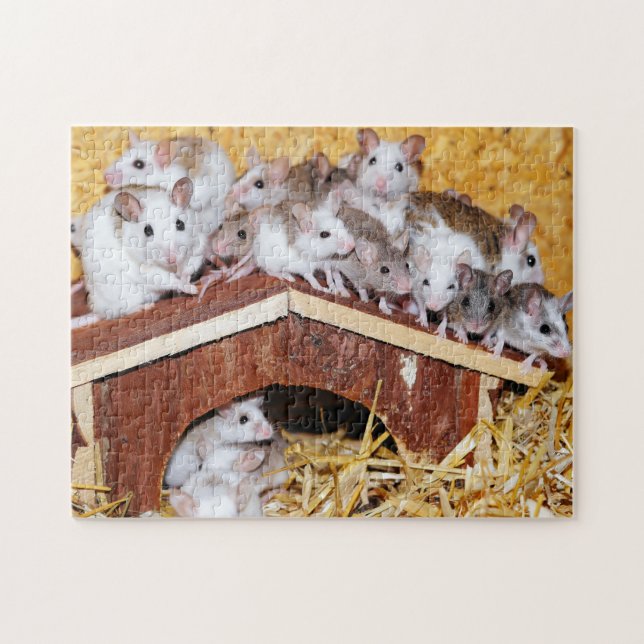 Rooftop Mice Jigsaw Jigsaw Puzzle (Horizontal)