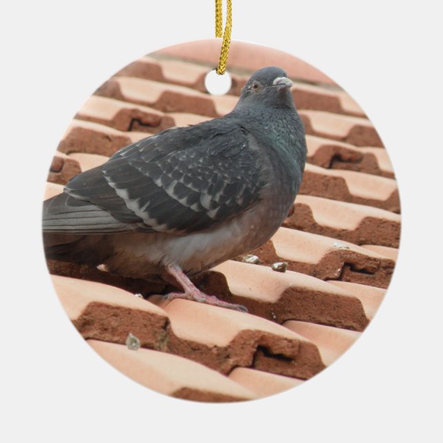 Rooftop Pigeon Custom Birthday Ceramic Ornament (Front)