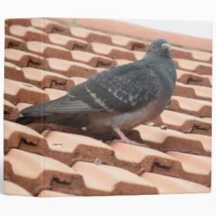 Rooftop Pigeon Photo Album Binder