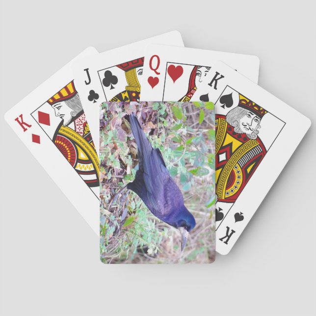 Rook Playing Cards (Back)