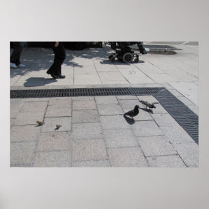 Room for All! Poster