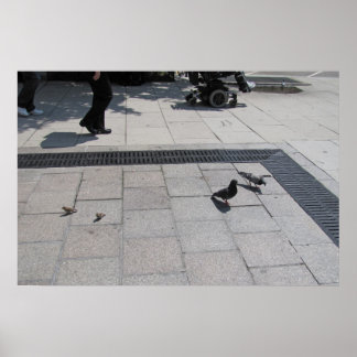 Room for All! Poster