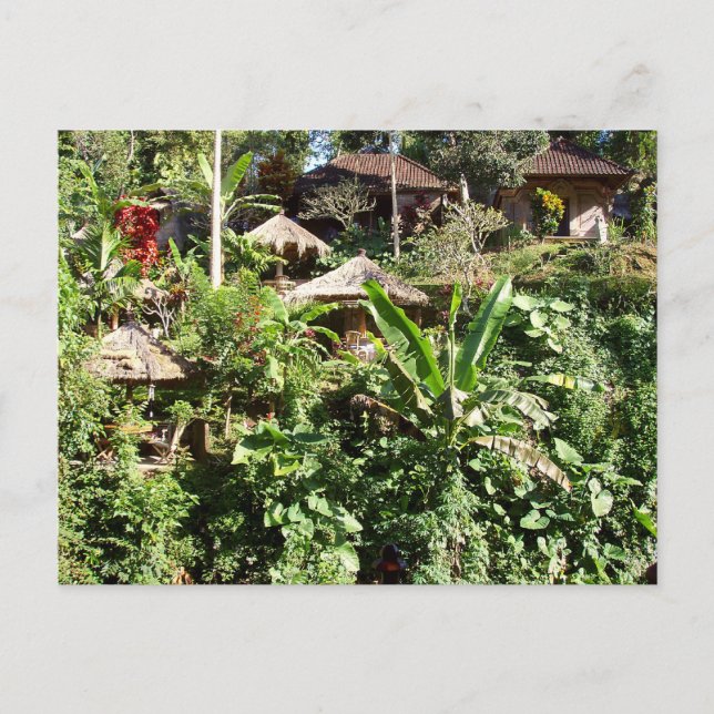 Room with a view, Ubud, Bali Indonesia Postcard (Front)