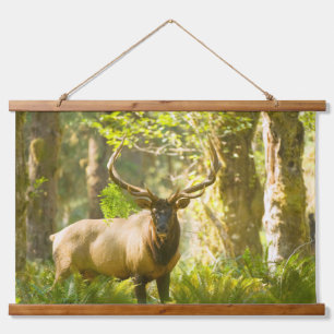 Roosevelt Elk Olympic National Park, Washington Hanging Tapestry