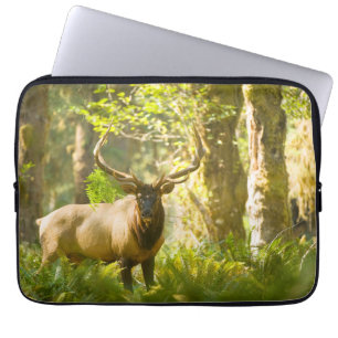 Roosevelt Elk   Olympic National Park, Washington Laptop Sleeve