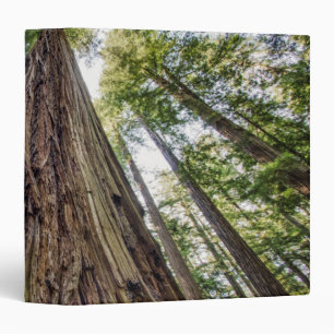 Roosevelt Grove Binder
