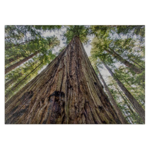 Roosevelt Grove Cutting Board