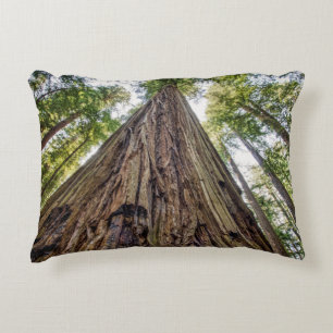 Roosevelt Grove Decorative Pillow