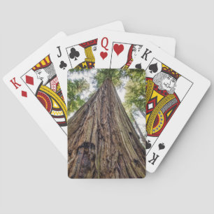 Roosevelt Grove Playing Cards