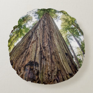 Roosevelt Grove Round Pillow