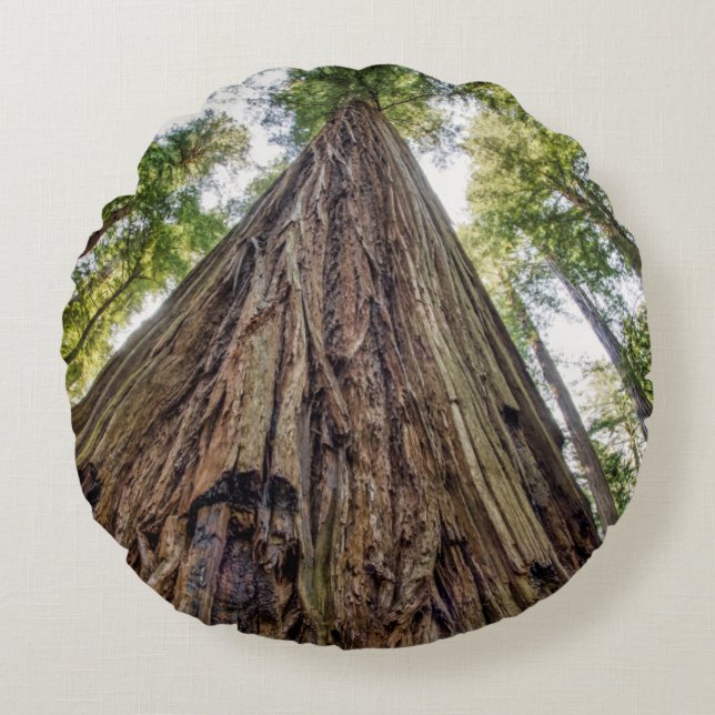 Roosevelt Grove Round Pillow (Front)