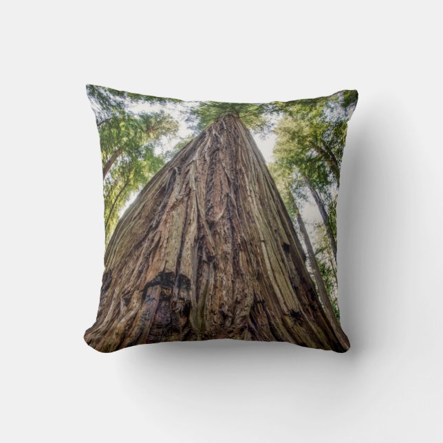 Roosevelt Grove Throw Pillow (Front)
