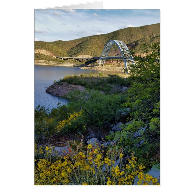 Roosevelt Lake Bridge Arizona Yellow Wildflowers (Front)