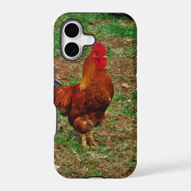 Rooster (Back)