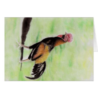 Rooster