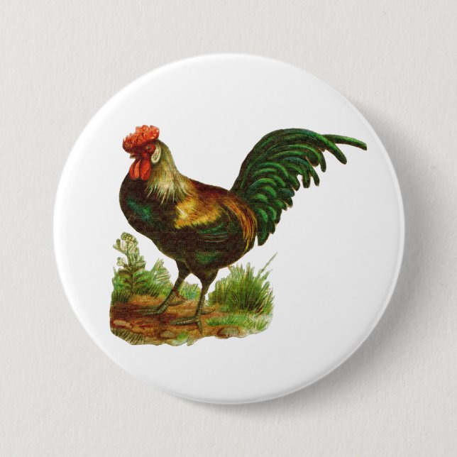 Rooster 3 Inch Round Button (Front)