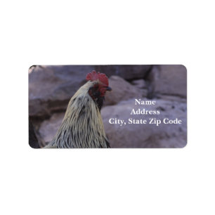 Rooster Address Labels