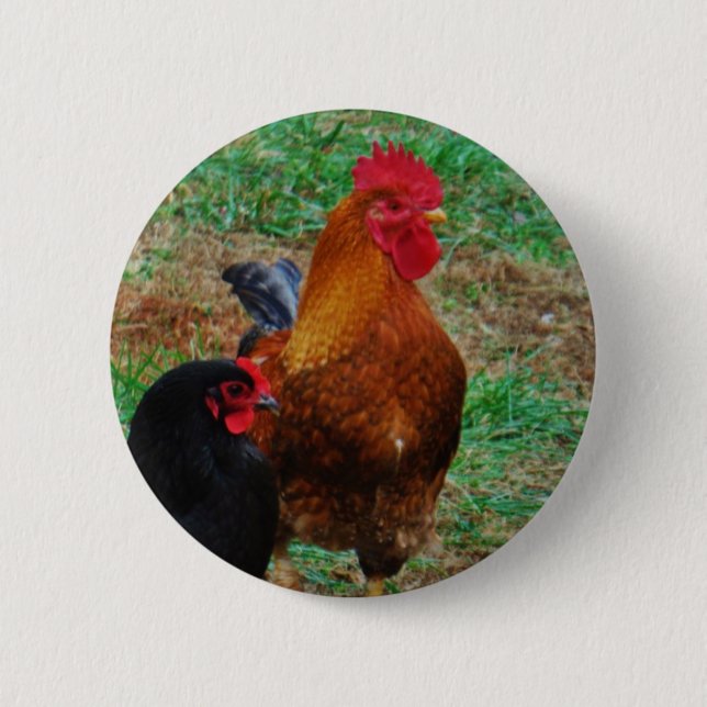 Rooster and Black Hen 2 Inch Round Button (Front)