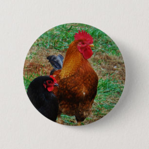 Rooster and Black Hen 2 Inch Round Button