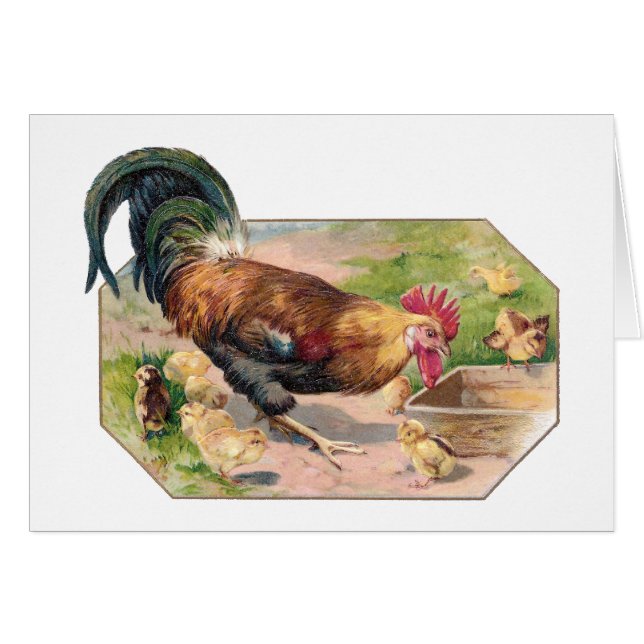 Rooster and Chicks (Front Horizontal)