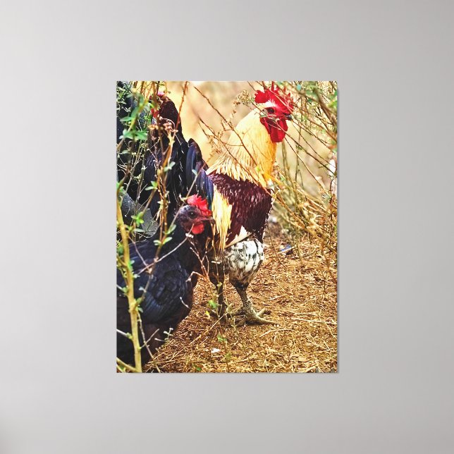 Rooster and Hen in a Thicket Canvas Print (Front)