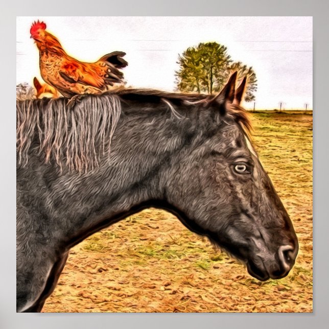 Rooster And Horse Friends Poster (Front)