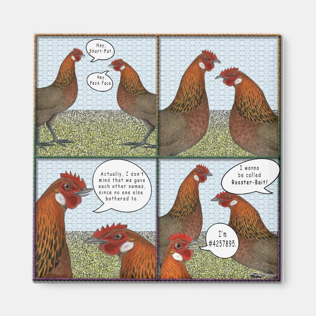 Rooster Bait Magnet (Front)