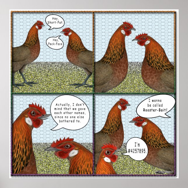 Rooster Bait Poster (Front)