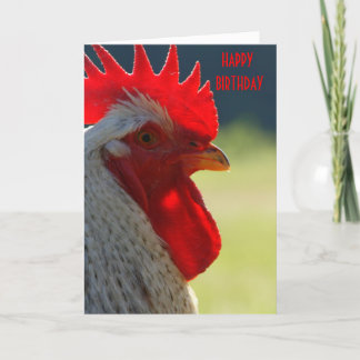 Rooster Birthday Card