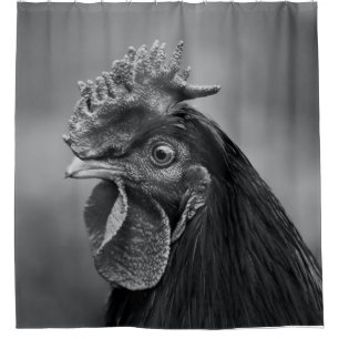 Rooster Black and White