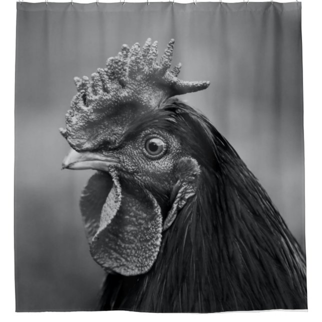 Rooster Black and White (Front)