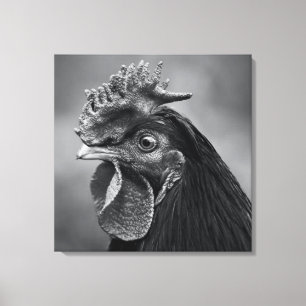 Rooster Black and White Canvas Print