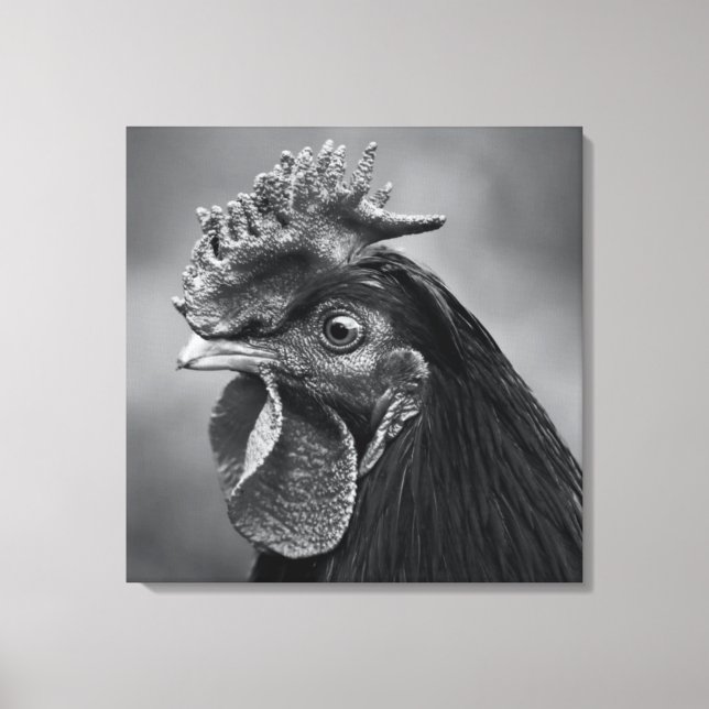 Rooster Black and White Canvas Print (Front)