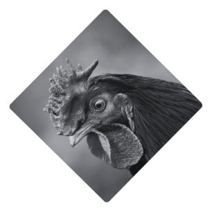 Rooster Black and White Graduation Cap Topper