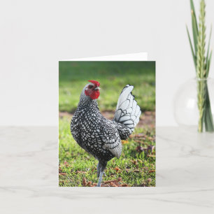 Rooster, Blank Card