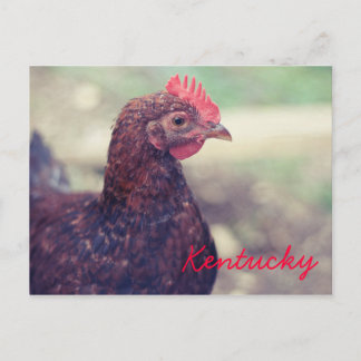 Rooster by JerseyFawn Postcard