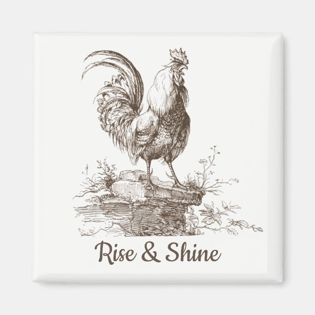 Rooster charming sepia tone illustration magnet (Front)